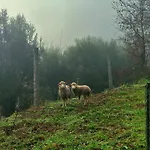 度假居 Casa De Suelas 维亚纳堡