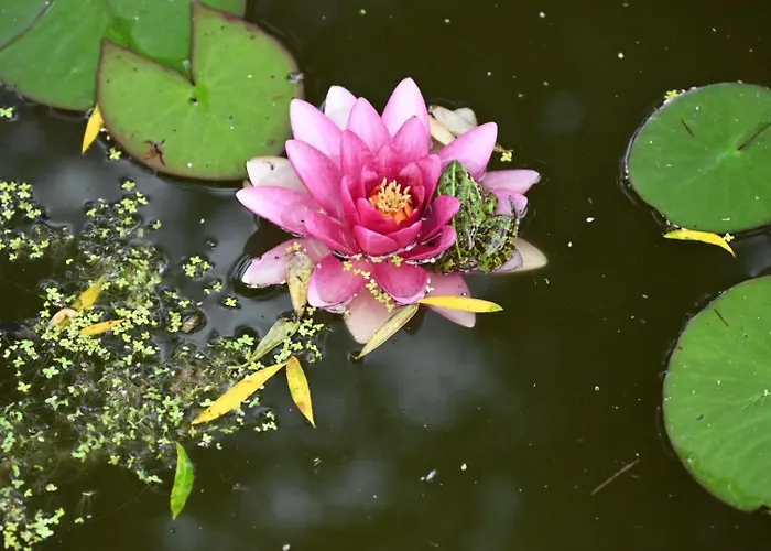 بيت للعطل Casa De Suelas *