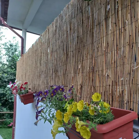 Casa De Suelas Viana do Castelo