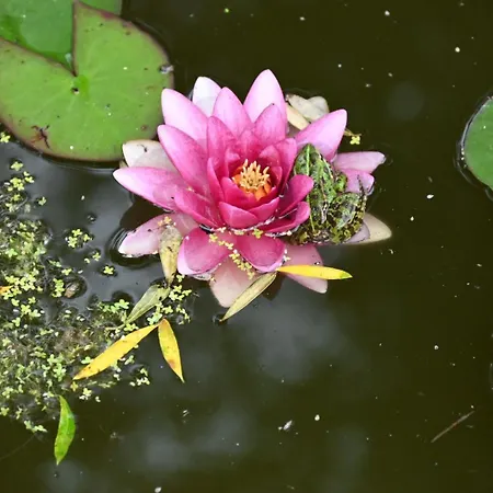 Dom wakacyjny Casa De Suelas *