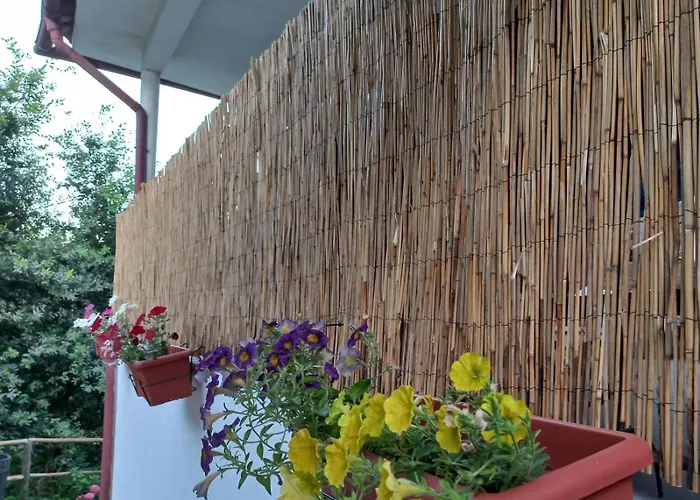 Casa De Suelas Viana do Castelo