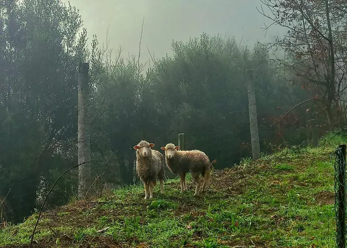 Ferienhaus Casa De Suelas Viana do Castelo